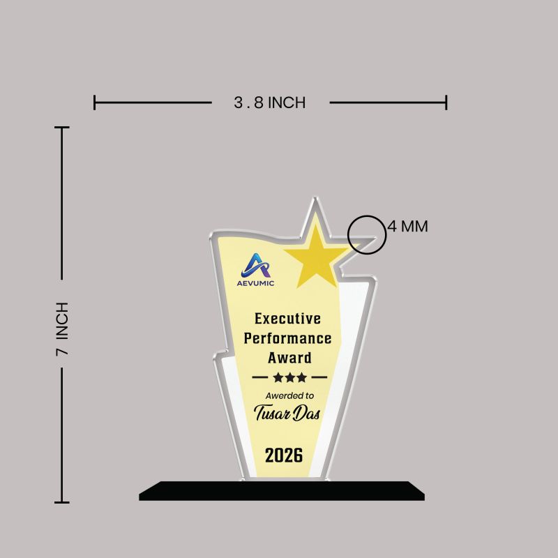 Executive Performance Award Personalized Acrylic Award Trophy Custom with Name  Achievement Award for Employee, Corporate Recognition Thankyou Gift for Employee
